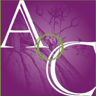 Logotipo de la Academia del Chocolate