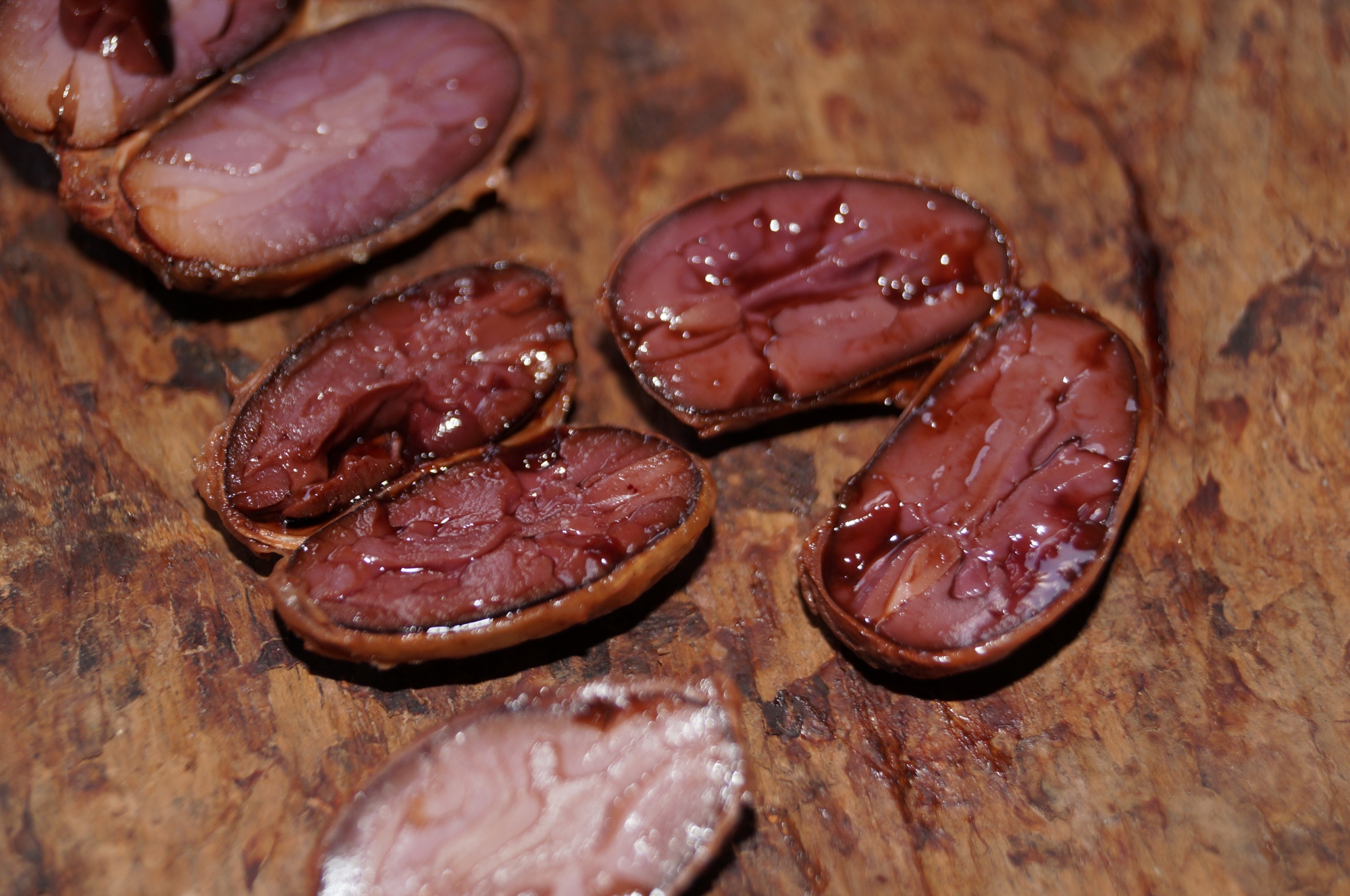 Cacao fermentation