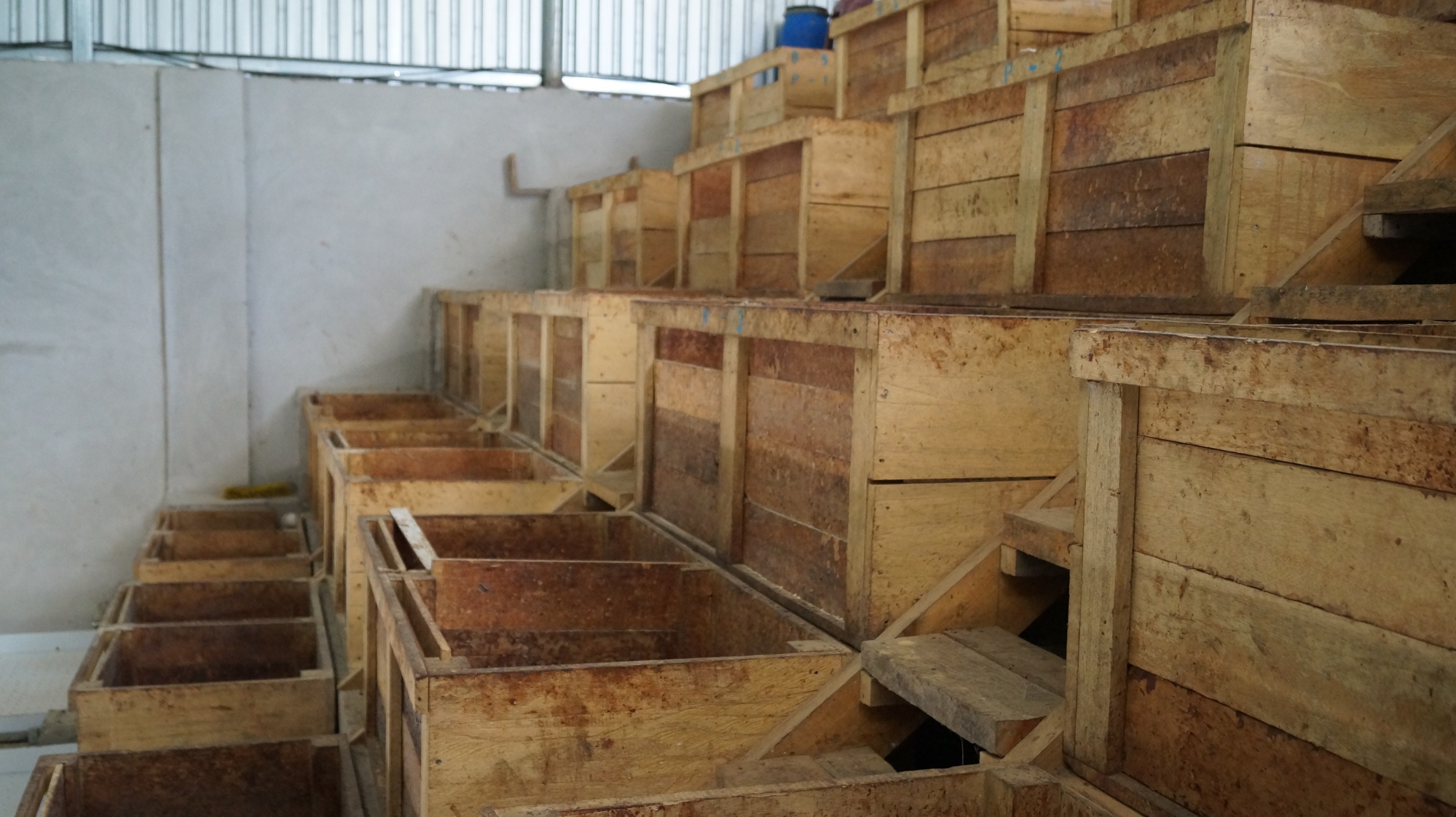 Fermentation boxes