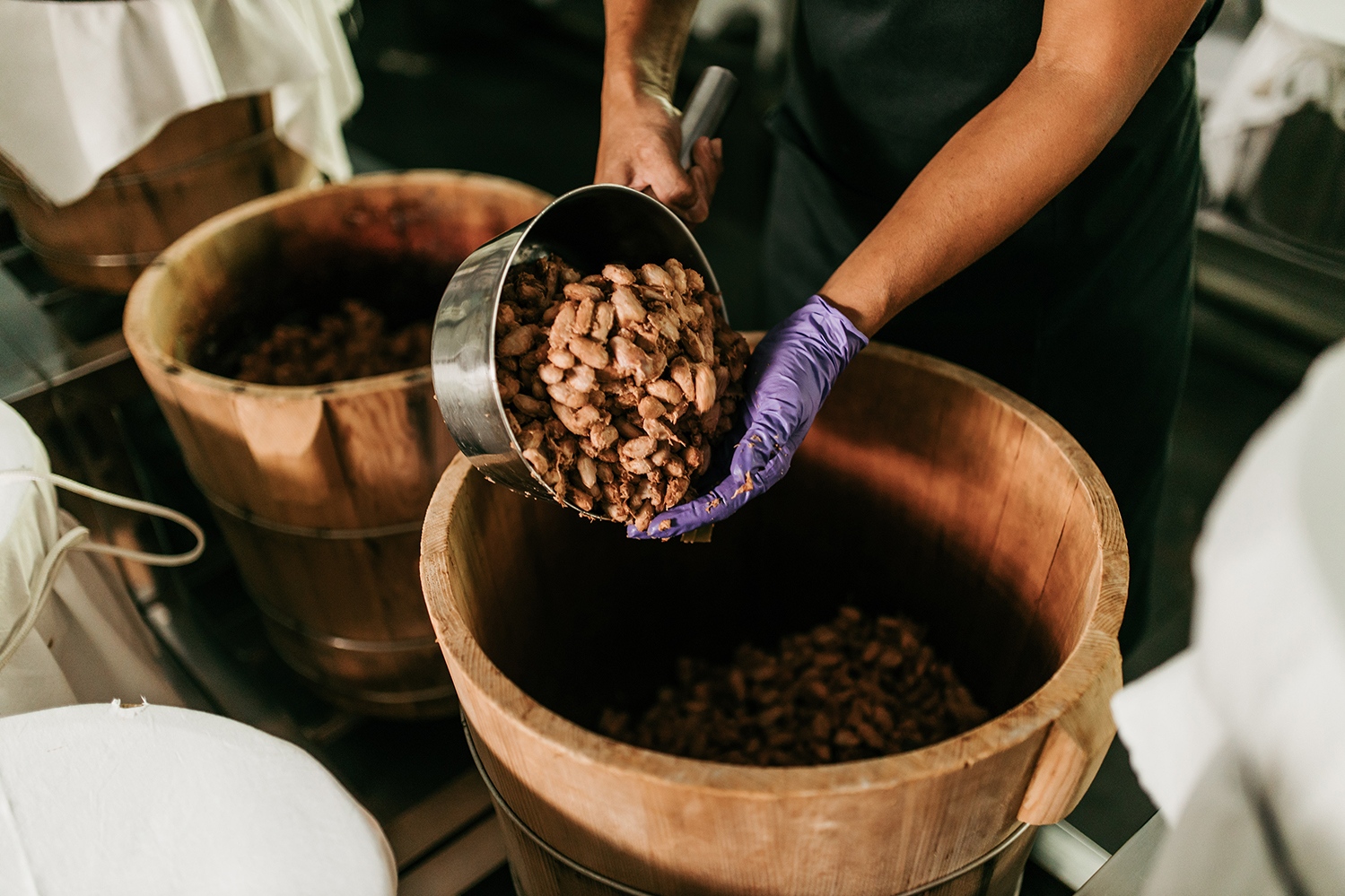 Fermenting cacao