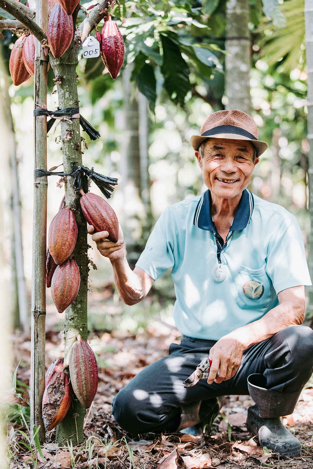 Cacao farmer and his cacao tree in Taiwan